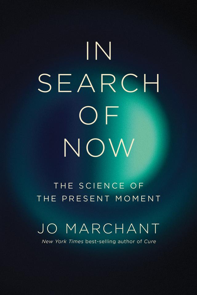 In Search of Now by Jo Marchant