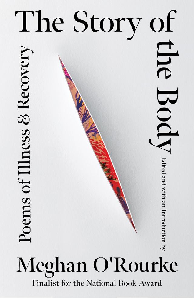 The Story of the Body by Meghan O'Rourke