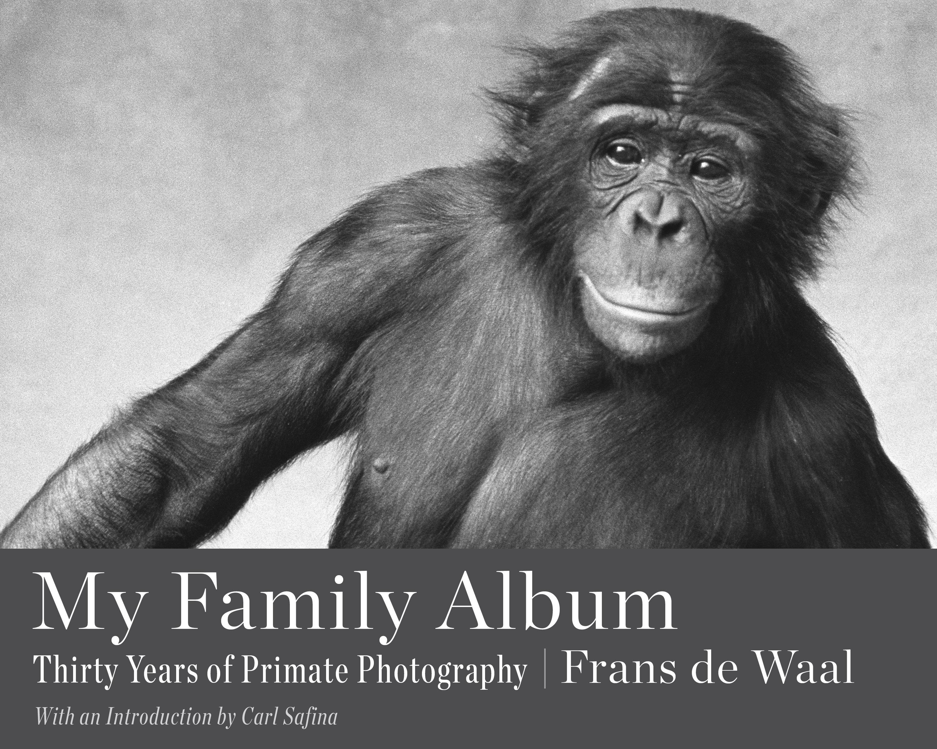My Family Album