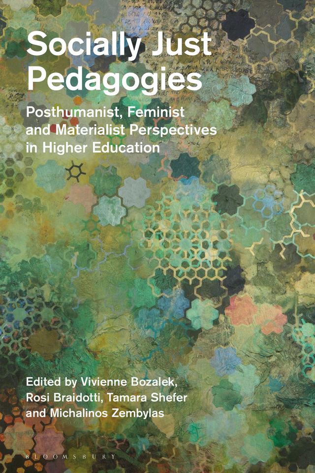 Socially Just Pedagogies by Michalinos Zembylas, Rosi Braidotti, Tamara Shefer, Vivienne Bozalek