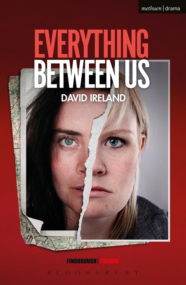 Everything Between Us by David Ireland