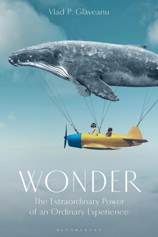 Wonder by Vlad P. Glaveanu