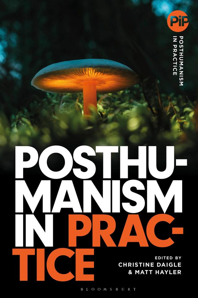 Posthumanism in Practice by Christine Daigle, Matthew Hayler