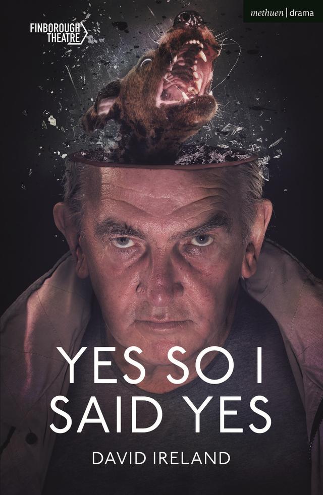 Yes So I Said Yes by David Ireland