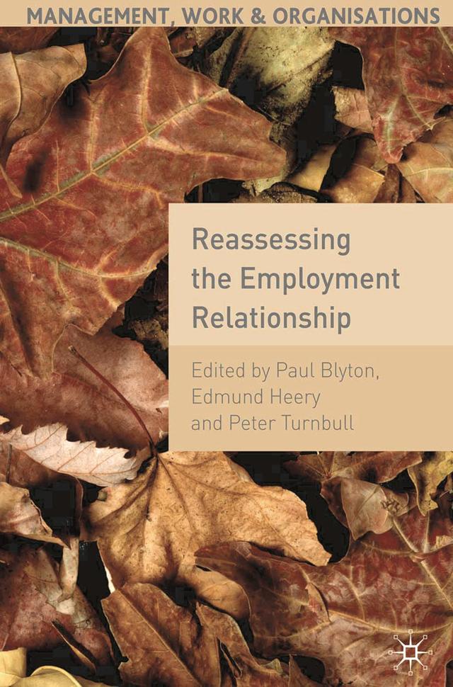 Reassessing the Employment Relationship by Edmund Heery, Peter Turnbull