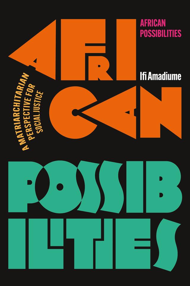 African Possibilities by Ifi Amadiume