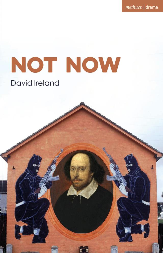 Not Now by David Ireland