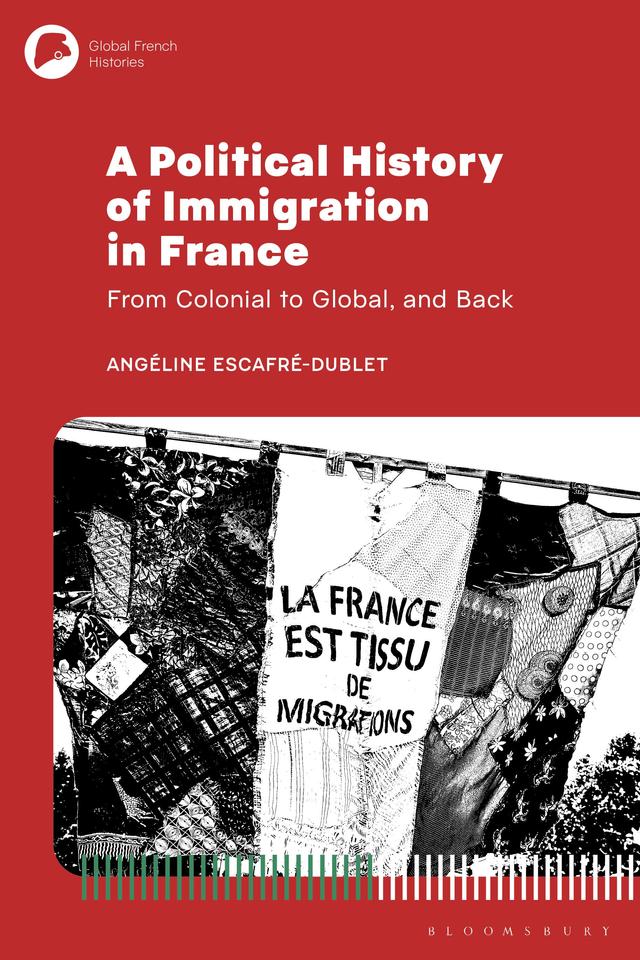 A Political History of Immigration in France by Angéline Escafré-Dublet