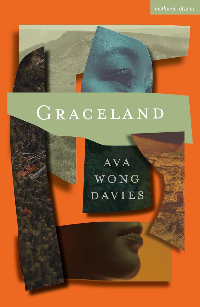Graceland by Ava Wong Davies