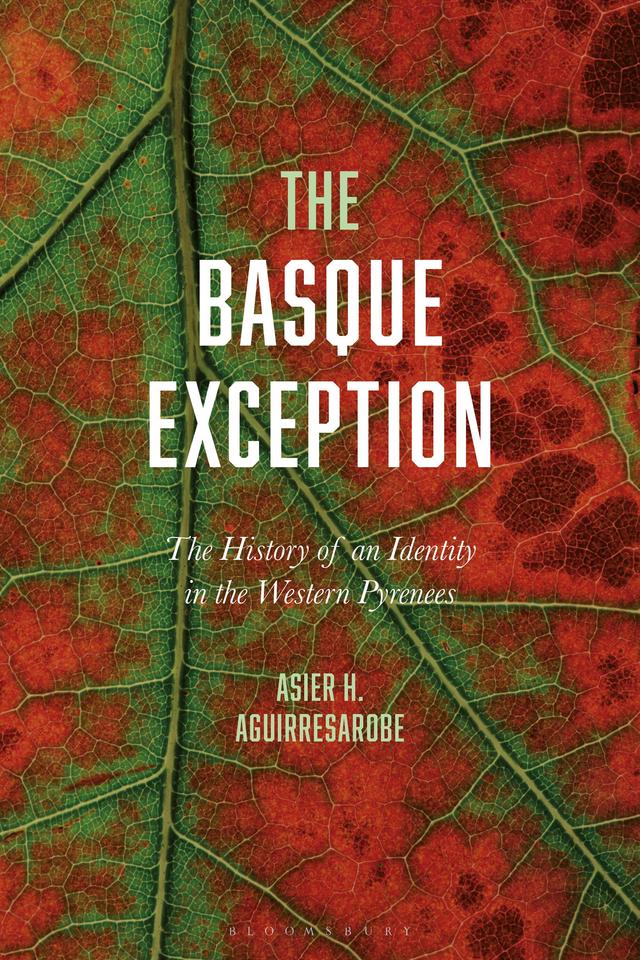 The Basque Exception by Asier H. Aguirresarobe