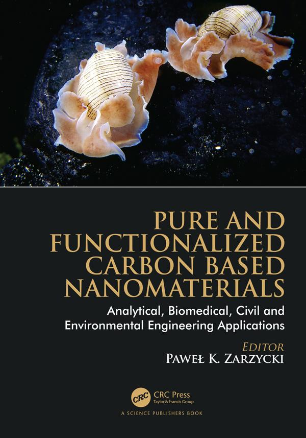Pure and Functionalized Carbon Based Nanomaterials by Pawel K. Zarzycki