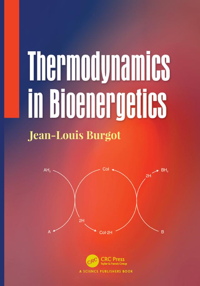 Thermodynamics in Bioenergetics by Jean-Louis Burgot