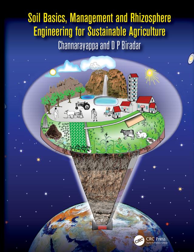 Soil Basics, Management and Rhizosphere Engineering for Sustainable Agriculture by Channarayappa C., D P Biradar