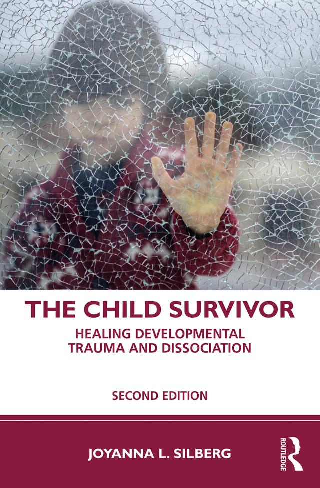 The Child Survivor by Joyanna L. Silberg