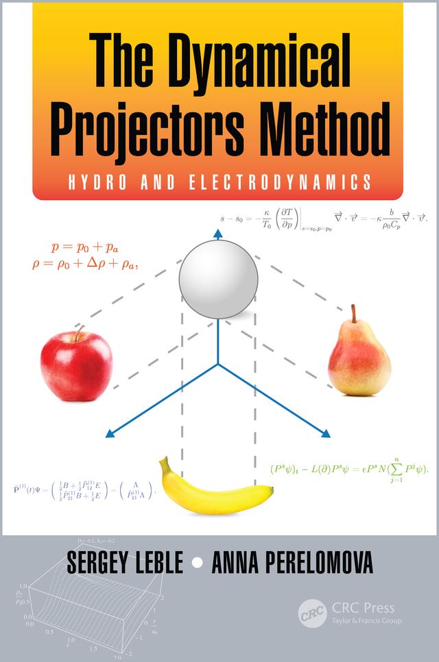The Dynamical Projectors Method by Anna Perelomova, Sergey Leble