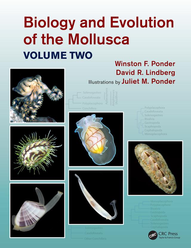 Biology and Evolution of the Mollusca, Volume 2 by David R. Lindberg, Juliet Mary Ponder, Winston Frank Ponder