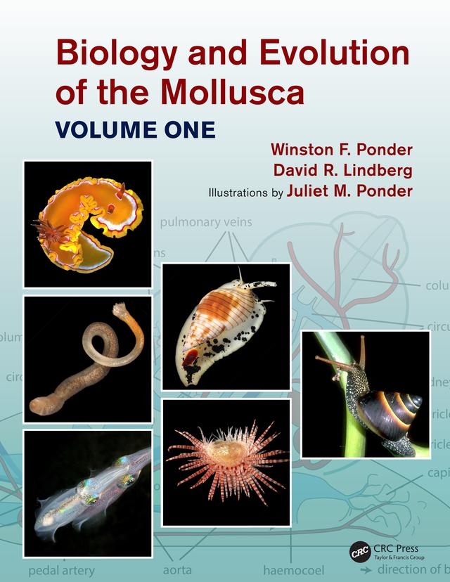 Biology and Evolution of the Mollusca, Volume 1 by David R. Lindberg, Juliet Mary Ponder, Winston Frank Ponder