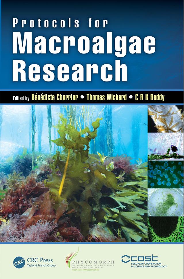 Protocols for Macroalgae Research by Bénédicte Charrier, C R K Reddy, Thomas Wichard