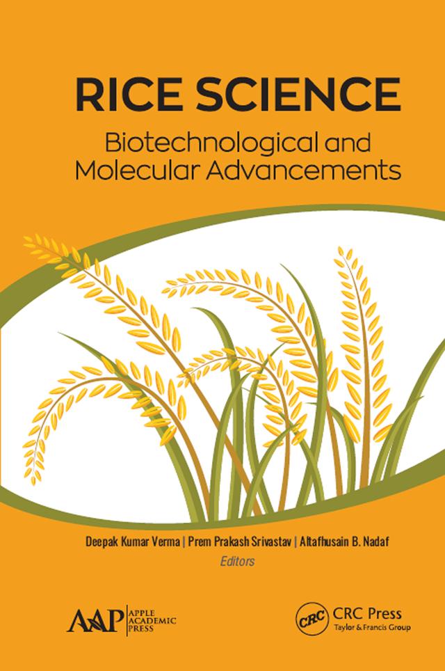 Rice Science: Biotechnological and Molecular Advancements by Altafhusain B. Nadaf, Deepak Kumar Verma, Prem Prakash Srivastav