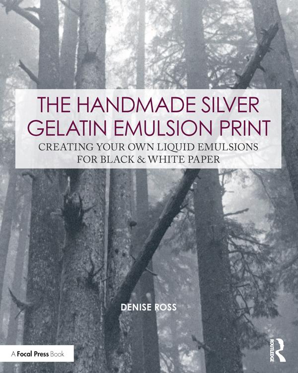 The Handmade Silver Gelatin Emulsion Print by Denise Ross