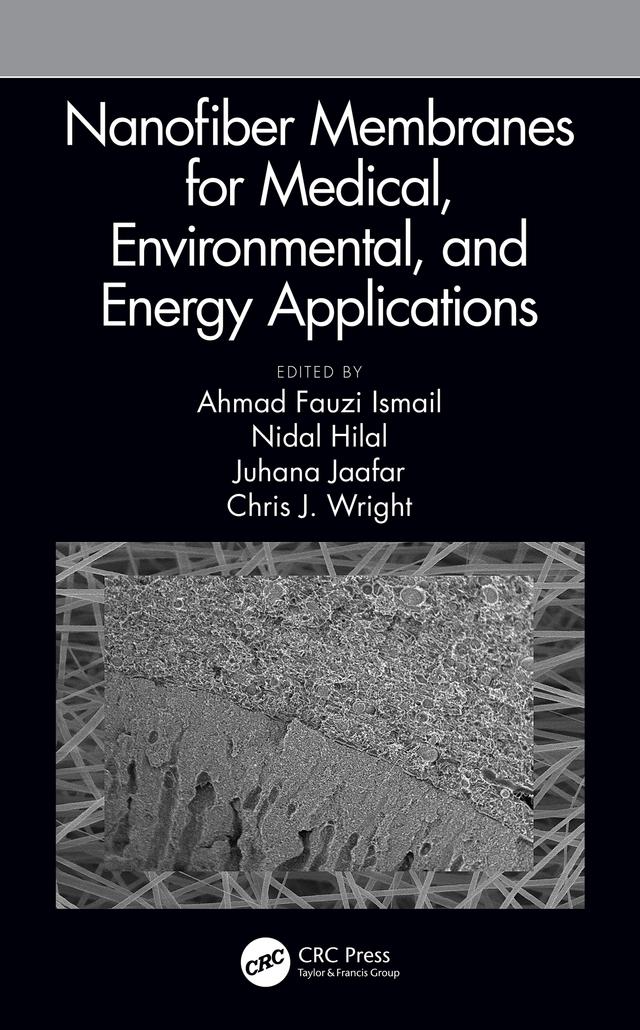 Nanofiber Membranes for Medical, Environmental, and Energy Applications by Ahmad Fauzi Ismail, Chris Wright, Juhana Jaafar, Nidal Hilal