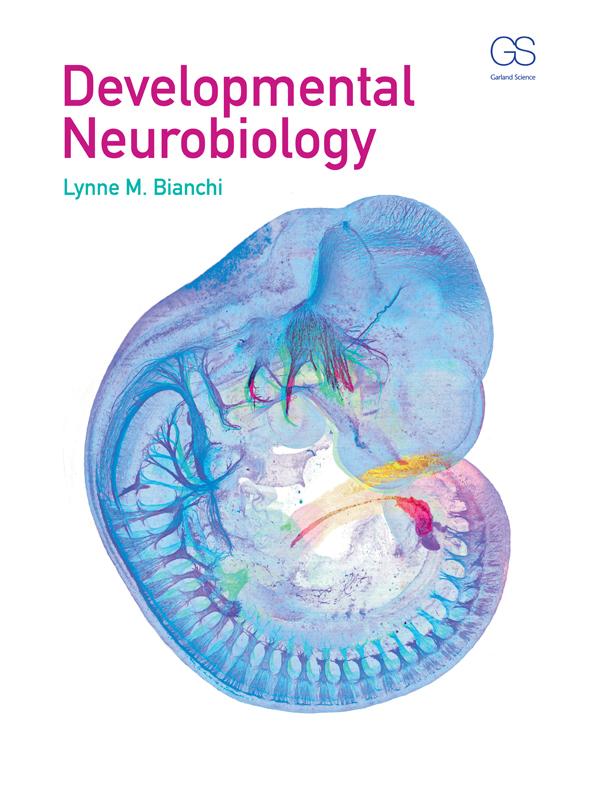 Developmental Neurobiology by Lynne Bianchi
