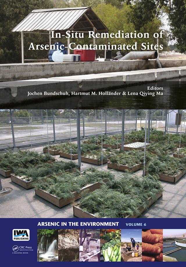 In-Situ Remediation of Arsenic-Contaminated Sites by Hartmut M. Holländer, Jochen Bundschuh, Lena Qiying Ma
