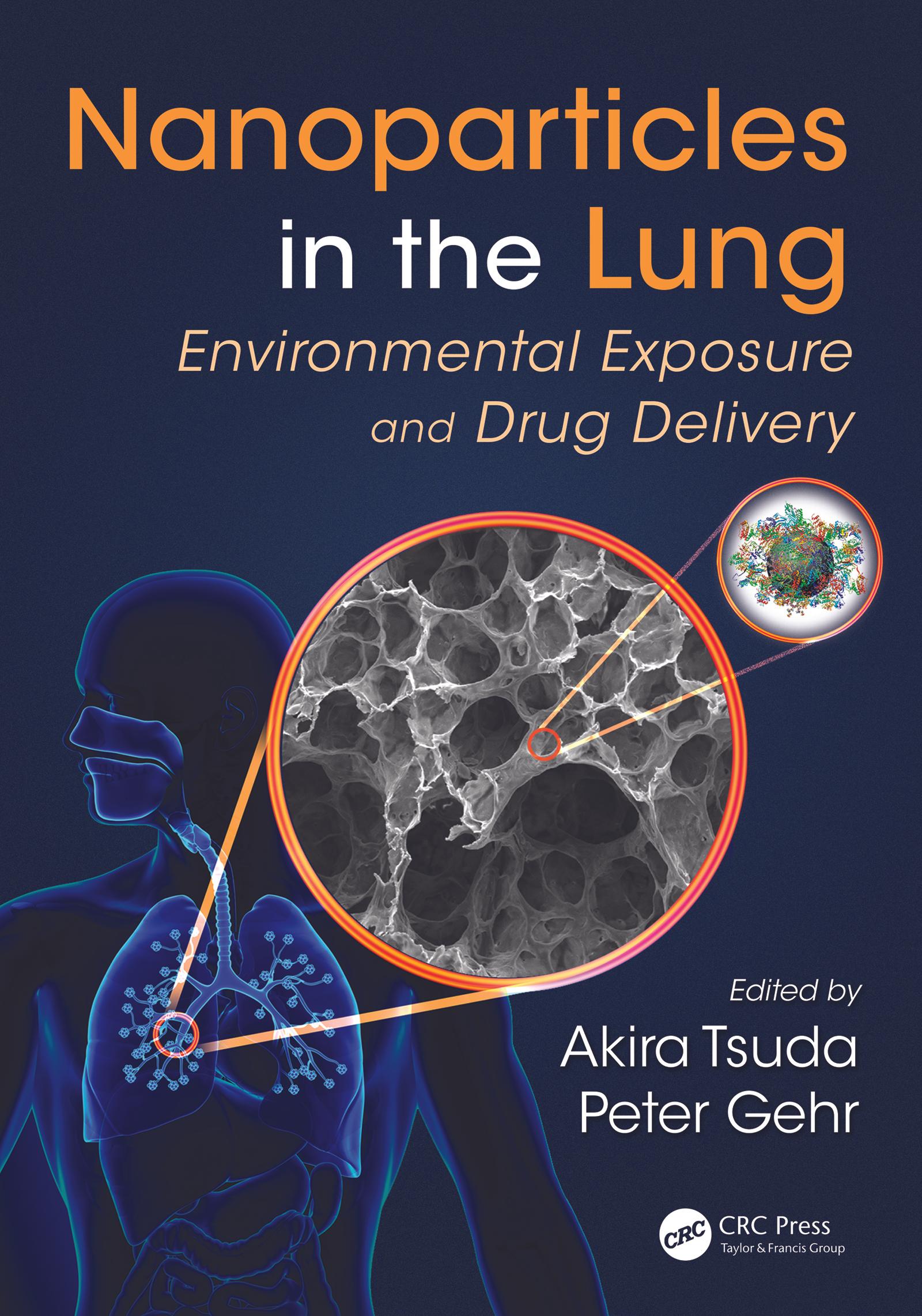 Nanoparticles in the Lung