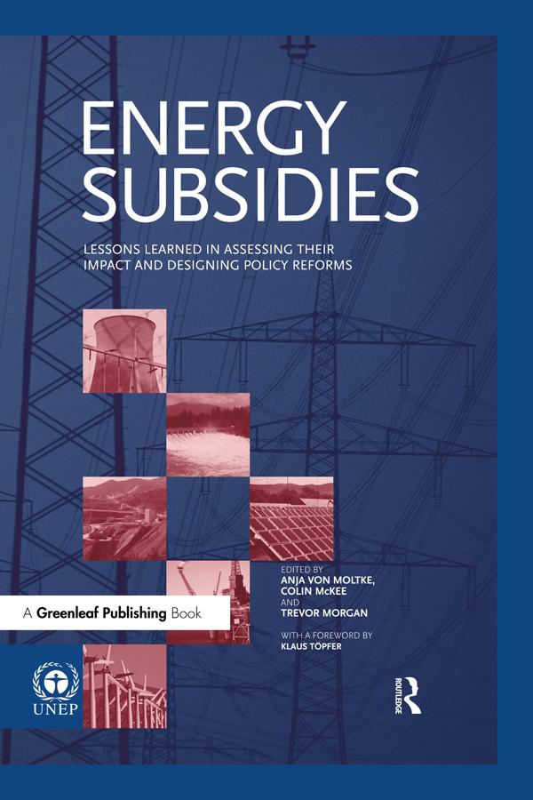 Energy Subsidies by Anja von Moltke, Colin McKee, Klaus Töpfer, Trevor Morgan