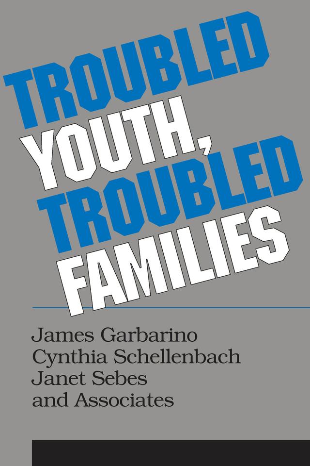 Troubled Youth, Troubled Families by Cynthia Schellenbach
