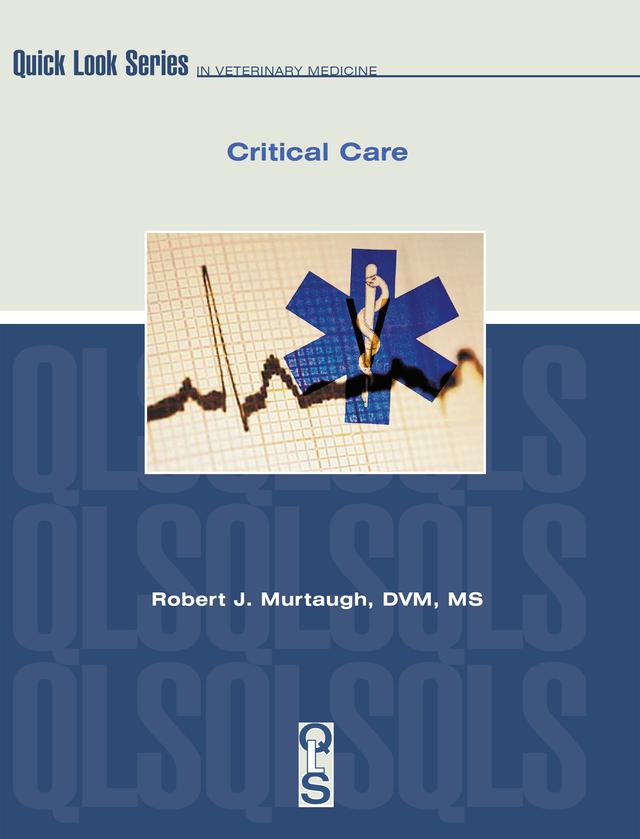 Critical Care by Robert Murtaugh