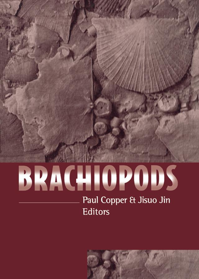 Brachiopods by Paul Copper
