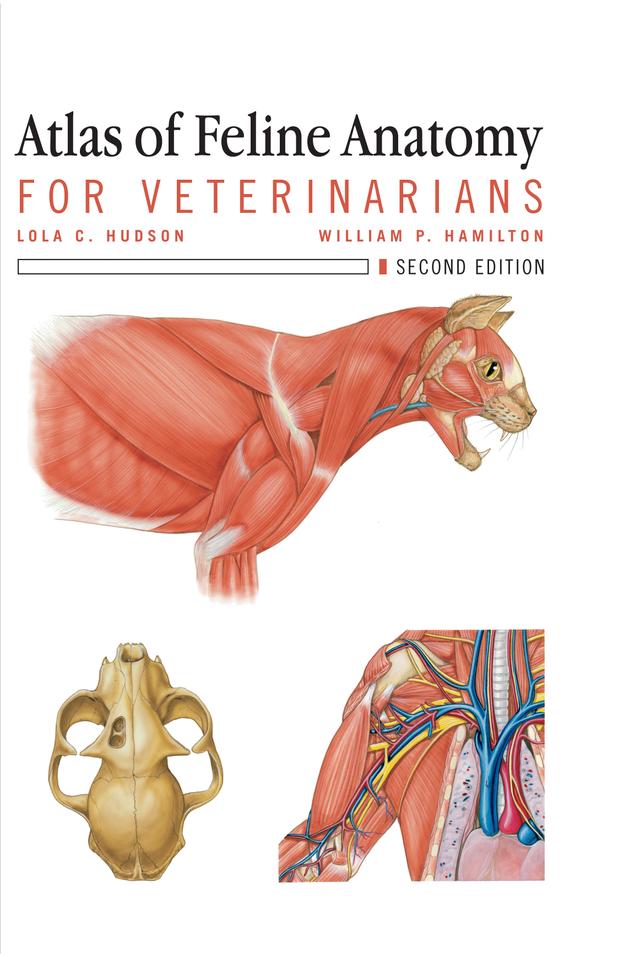 Atlas of Feline Anatomy For Veterinarians by Lola Hudson, William Hamilton