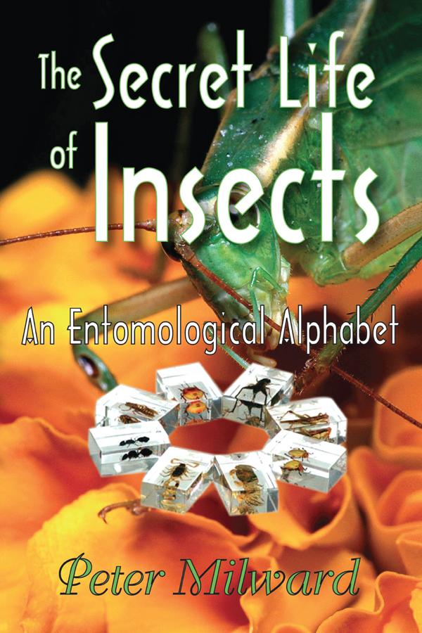 The Secret Life of Insects