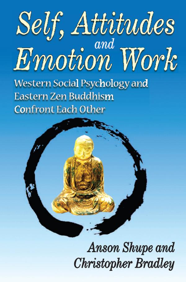 Self, Attitudes, and Emotion Work by Christopher Bradley