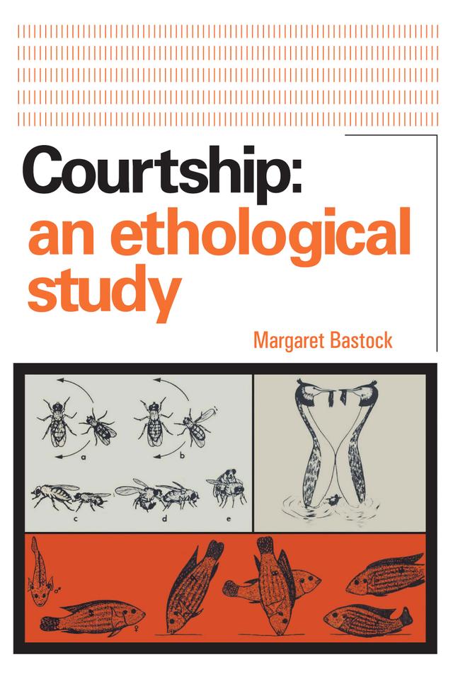 Courtship by Margaret Bastock