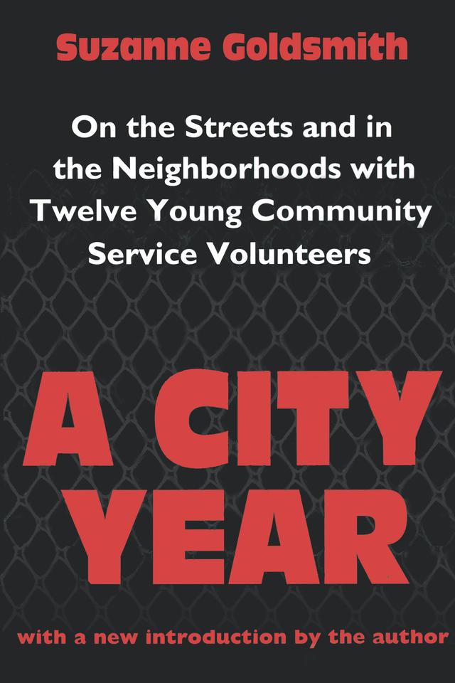 A City Year by Suzanne Goldsmith