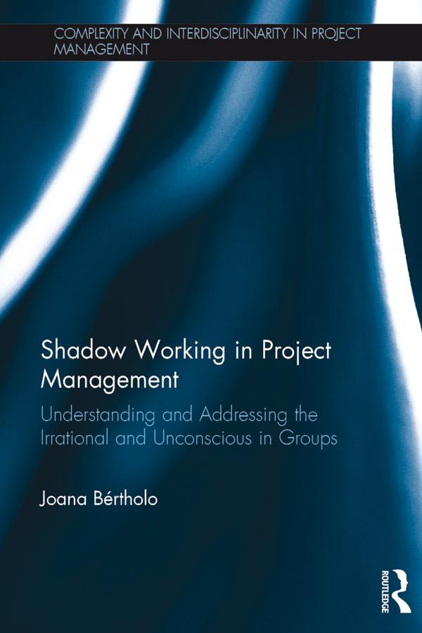 Shadow Working in Project Management by Joana Bértholo