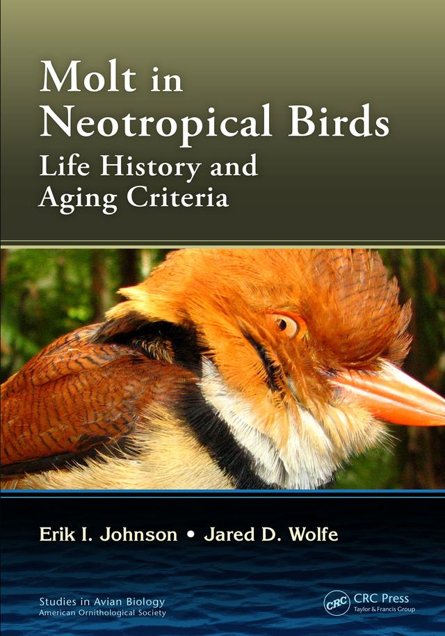 Molt in Neotropical Birds by Erik I. Johnson, Jared D. Wolfe