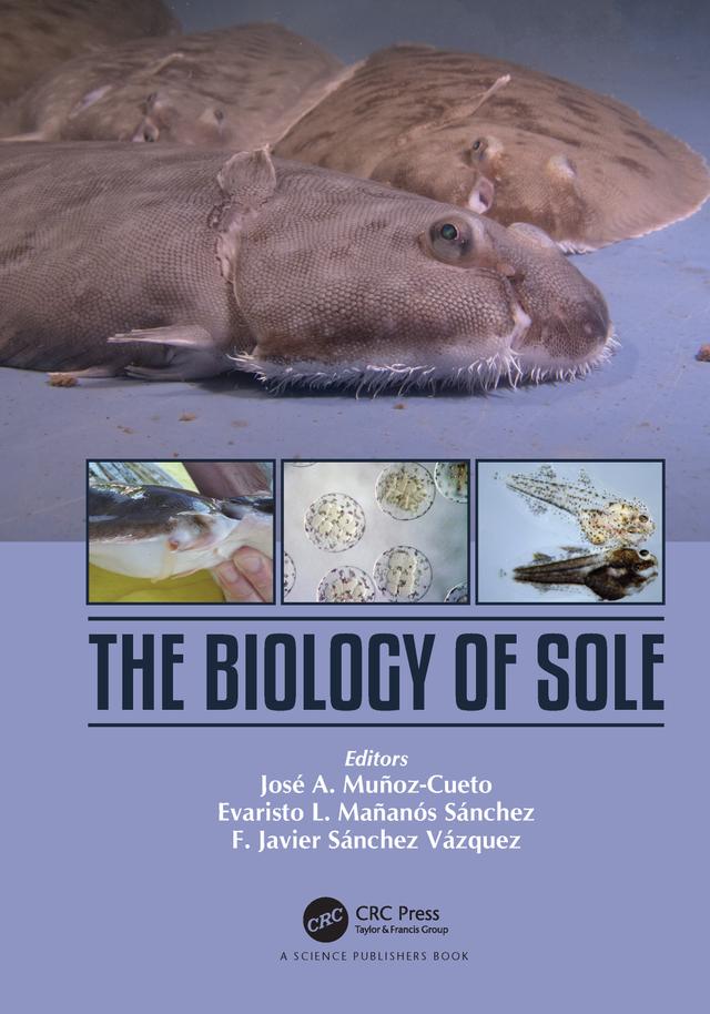 The Biology of Sole by Evaristo Mañanós-Sánchez, F. Javier Sánchez-Vázquez, José A. Munoz-Cueto