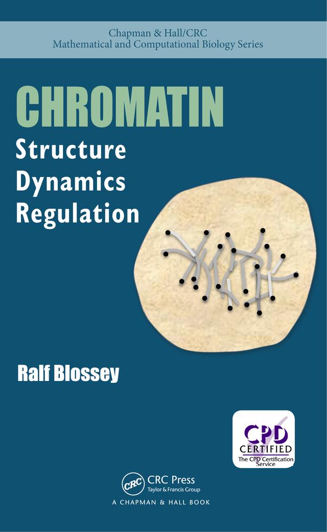 Chromatin by Ralf Blossey