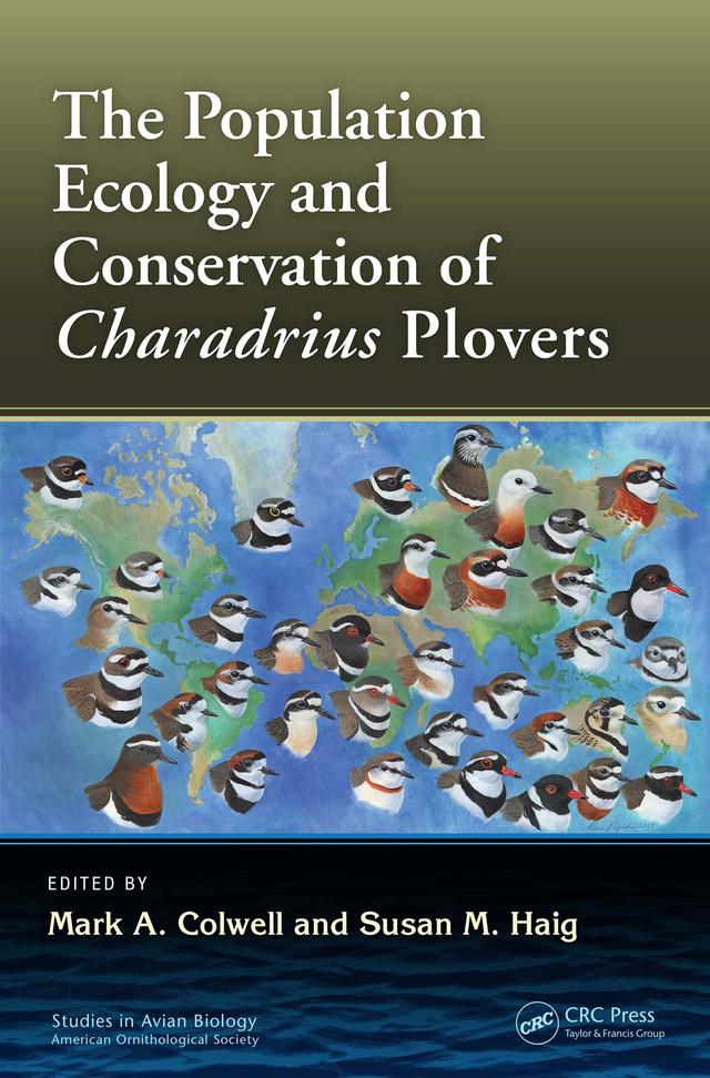 The Population Ecology and Conservation of Charadrius Plovers by Mark A. Colwell, Susan M. Haig