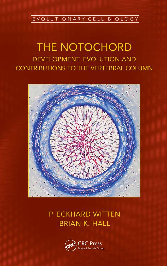 The Notochord by Brian K. Hall, P. Eckhard Witten