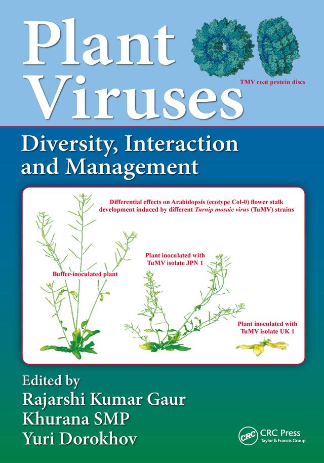 Plant Viruses by Rajarshi Kumar Gaur, SMP Khurana, Yuri Dorokhov