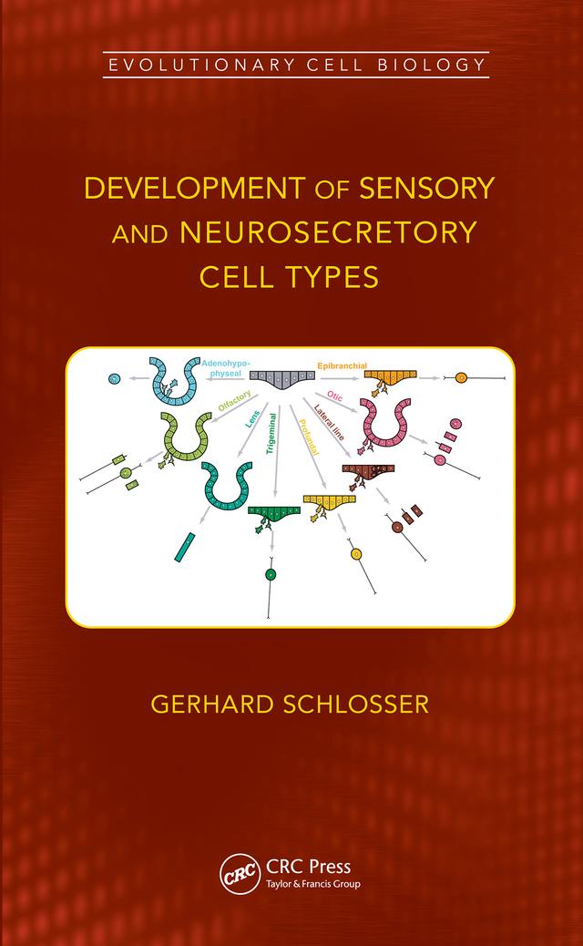 Development of Sensory and Neurosecretory Cell Types by Gerhard Schlosser