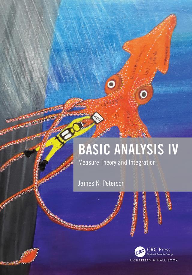 Basic Analysis IV by James K. Peterson