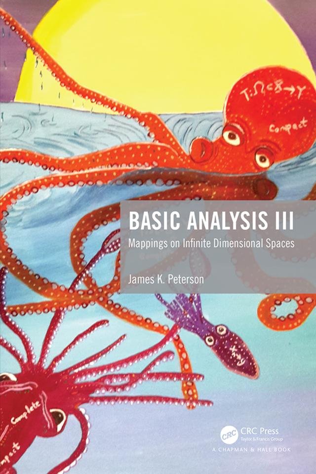 Basic Analysis III by James K. Peterson