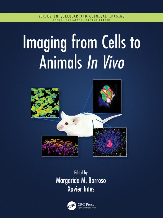 Imaging from Cells to Animals In Vivo by Margarida Barroso, Xavier Intes
