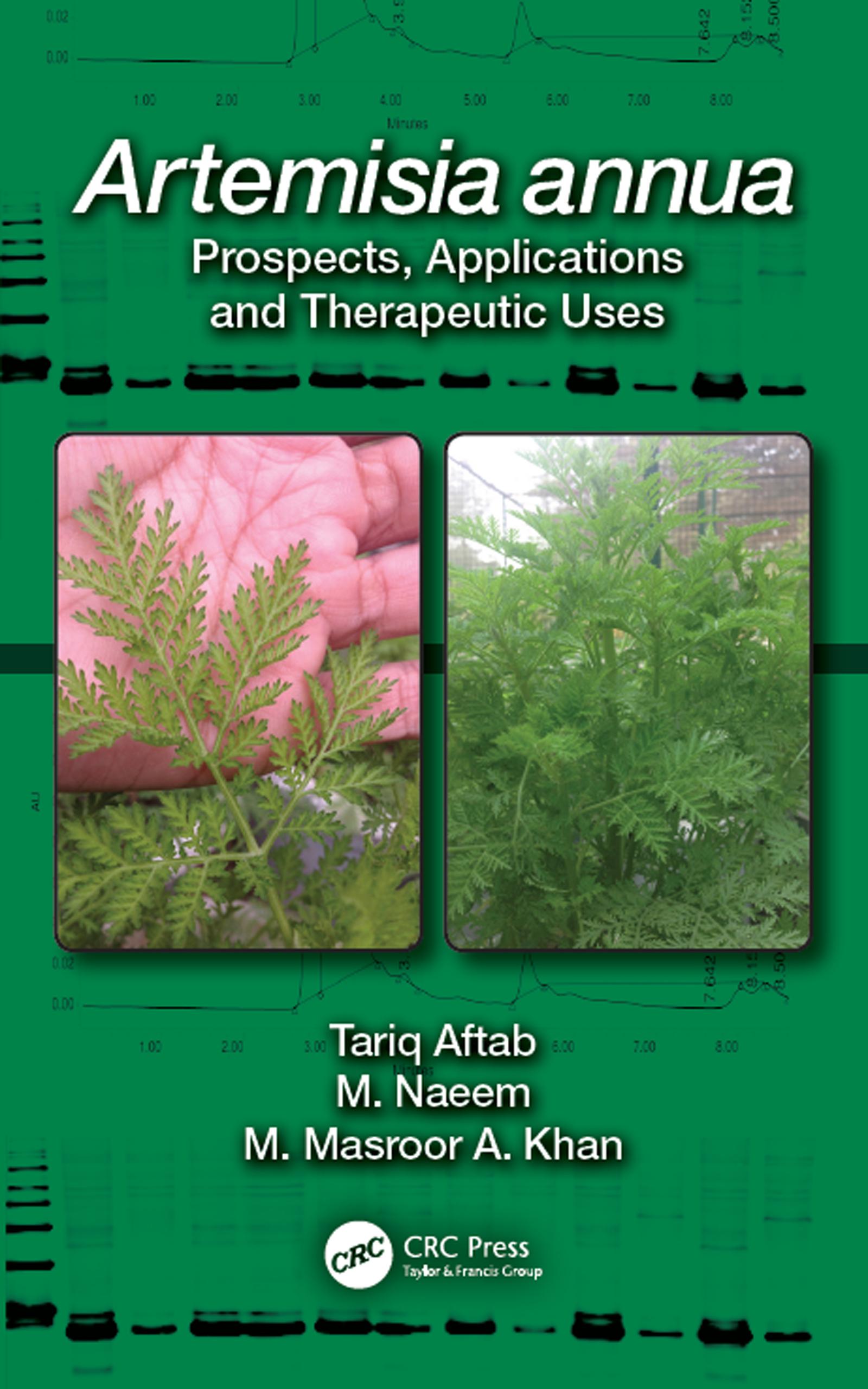 Artemisia annua