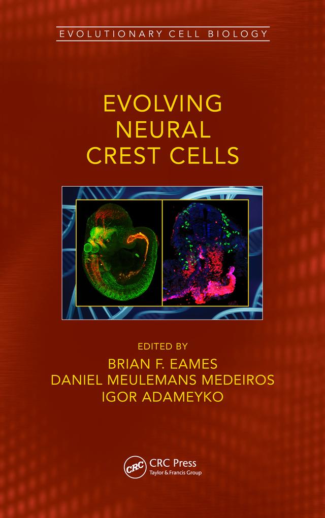 Evolving Neural Crest Cells by Brian Frank Eames, Daniel Meulemans Medeiros, Igor Adameyko